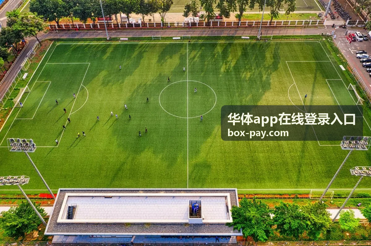 华体app在线登录入口异常登录排查与处理